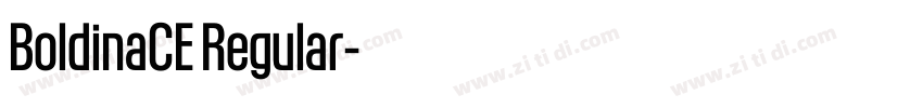 BoldinaCE Regular字体转换 BoldinaCE Regular字体转换